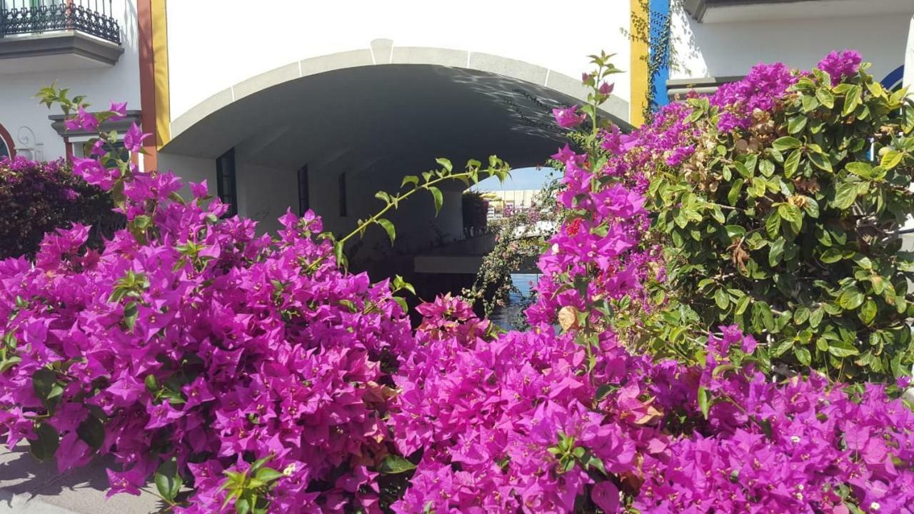 Casa Little Venice In بويرتو دي موغان المظهر الخارجي الصورة